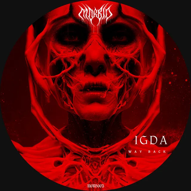 Way Back - NOTMYTYPE Remix by NOTMYTYPE, IGDA - Hard Techno cover art