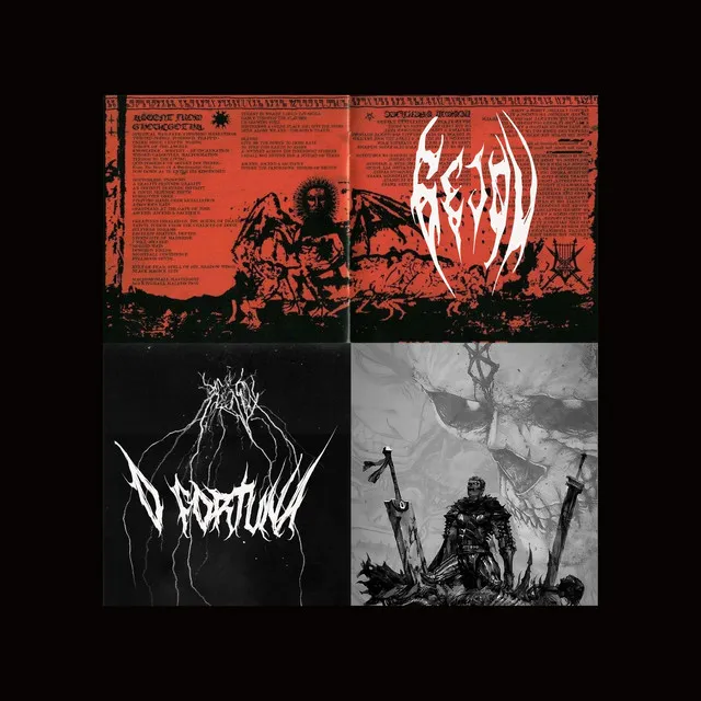 Cover art of O FORTUNA