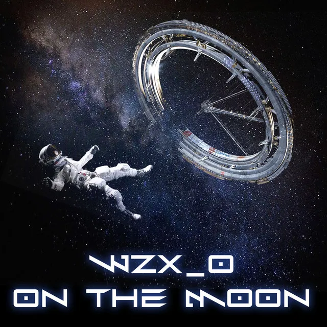 Cover art of On The Moon