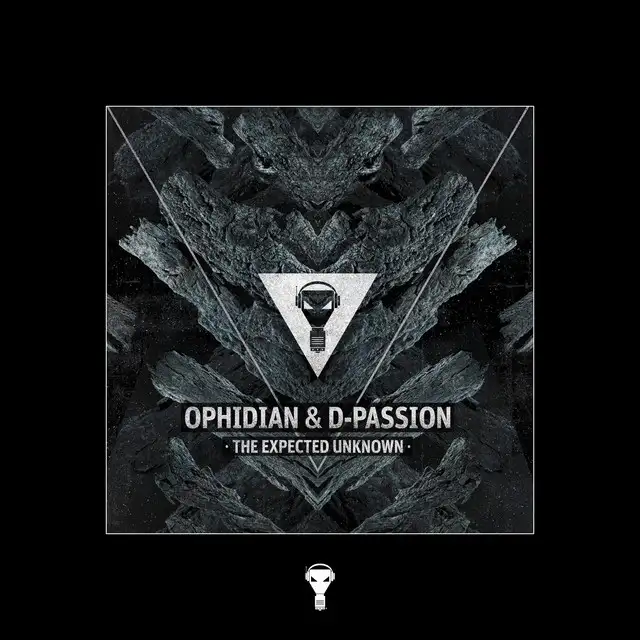 Another Destiny by Ophidian, D-Passion - Hardcore cover art
