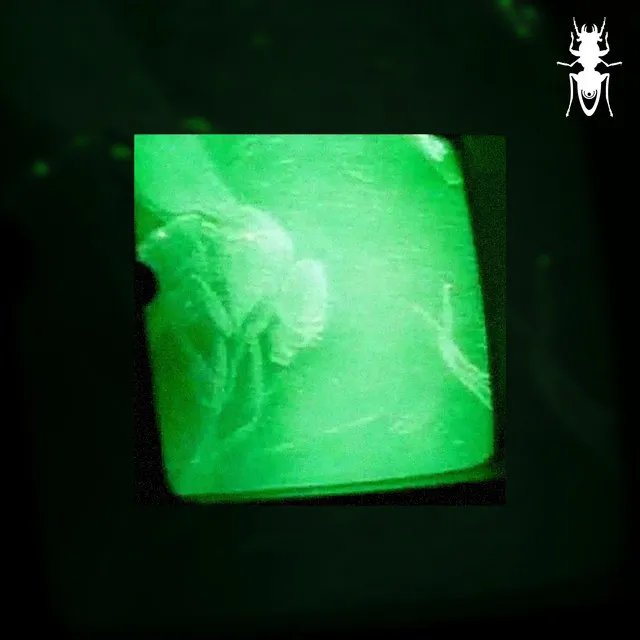Qotile by Ophidian - Hardcore cover art