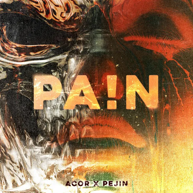 Cover art of PA!N