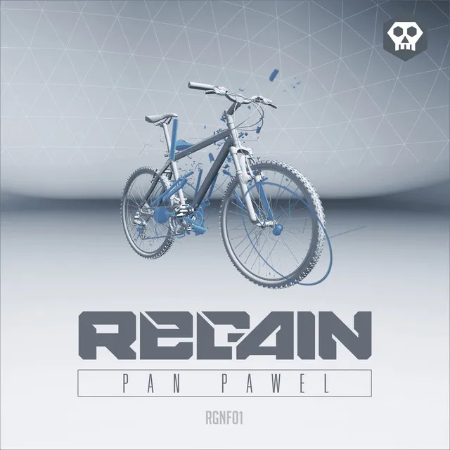 Cover art of Pan Pawel