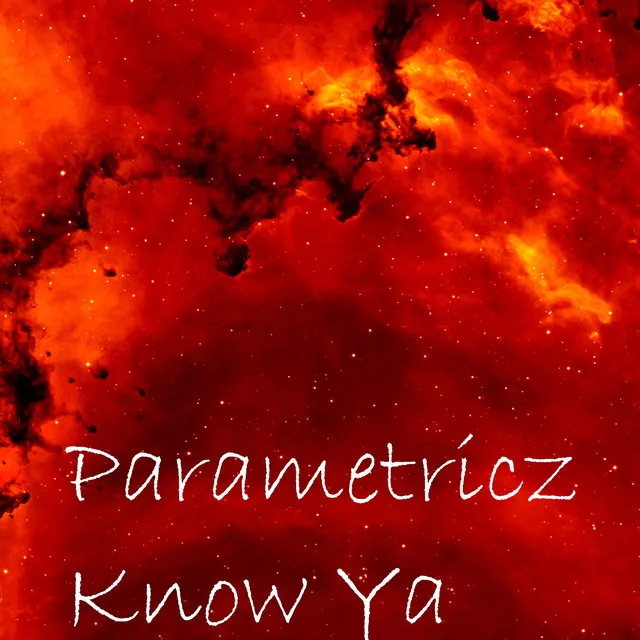Know Ya by Parametricz - Hardstyle cover art
