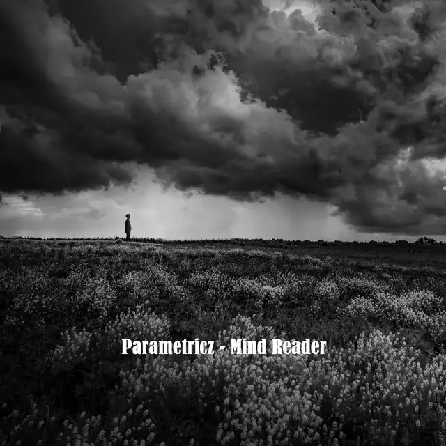 Mind Reader by Parametricz - Hardstyle cover art