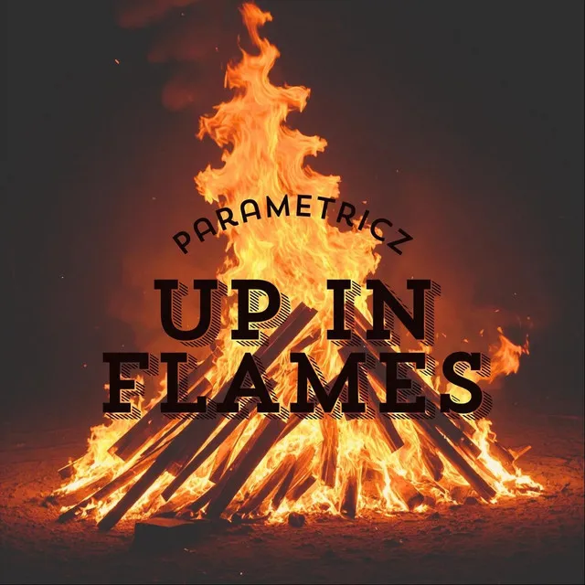 Up in Flames by Parametricz - Hardstyle cover art