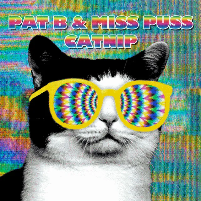 Catnip by Pat B, Miss Puss - Hardstyle cover art