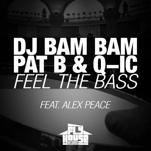 Feel the Bass (Radio Mix) (feat. Alex Peace) by Pat B, DJ Bam Bam, Q-ic - Hardstyle cover art