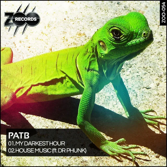 House Music - Original by Pat B, Dr Phunk - Hardstyle cover art