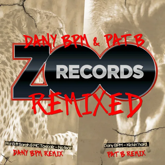 No fear - Dany BPM Remix by Pat B, Sarah, MC Toxicalz - Hardstyle cover art