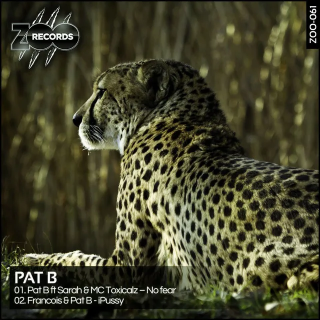 No Fear - Original by Pat B, Sarah - Hardstyle cover art
