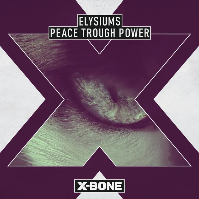 Cover art of Peace Through Power