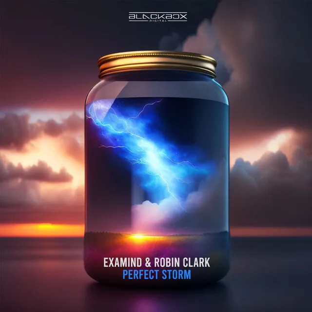 Cover art of Perfect Storm