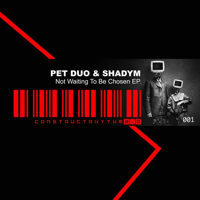 Not Waiting To Be Chosen (Rough) by Petduo, Shadym - Schranz cover art
