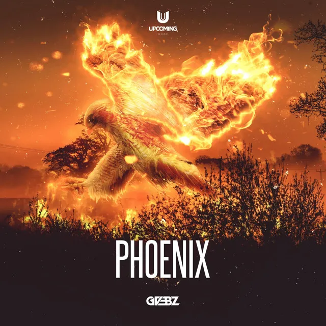 Cover art of Phoenix