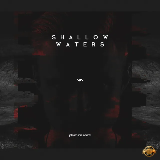 Shallow Waters - Radio Version by Phuture Noize, Snowflake - Hardstyle cover art