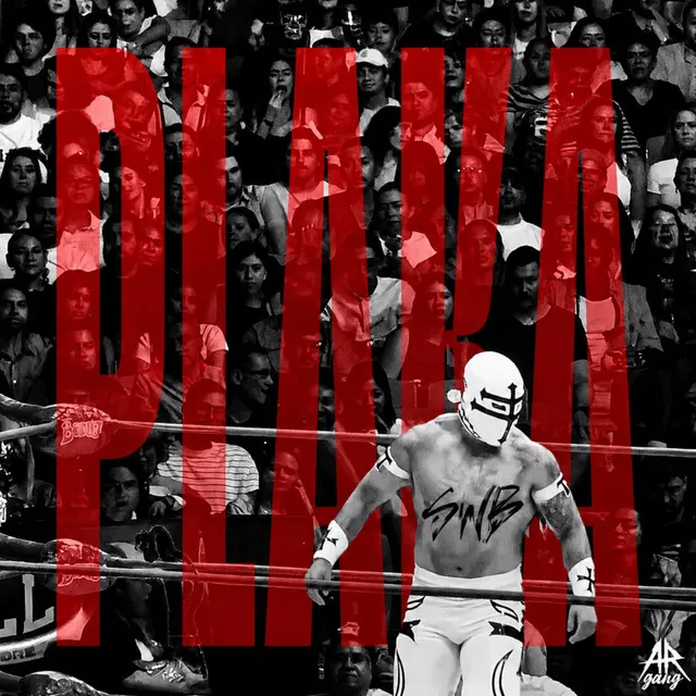 Cover art of PLAKA
