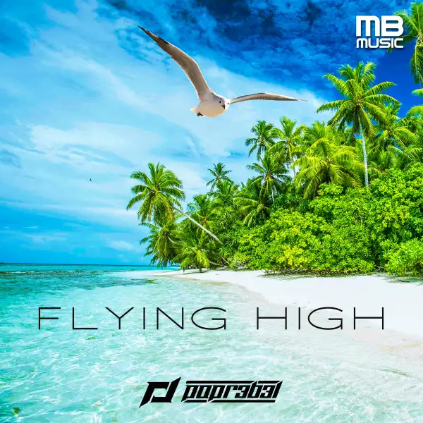 Flying high - DJ Edit by POPR3B3L - Hardstyle cover art
