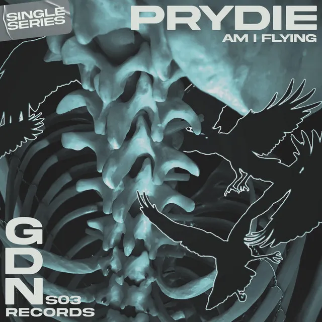 Am I Flying by PRYDIE - Hard Techno cover art