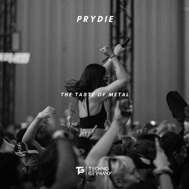 The Taste of Metal by PRYDIE - Hard Techno cover art