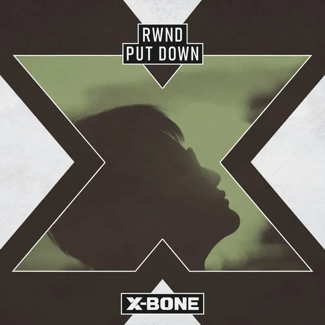 Cover art of Put Down