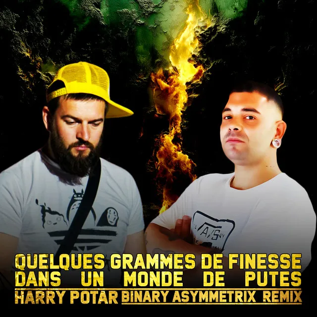 Cover art of Quelques Grammes de finesse dans un monde de putes (Binary Asymmetrix Remix)