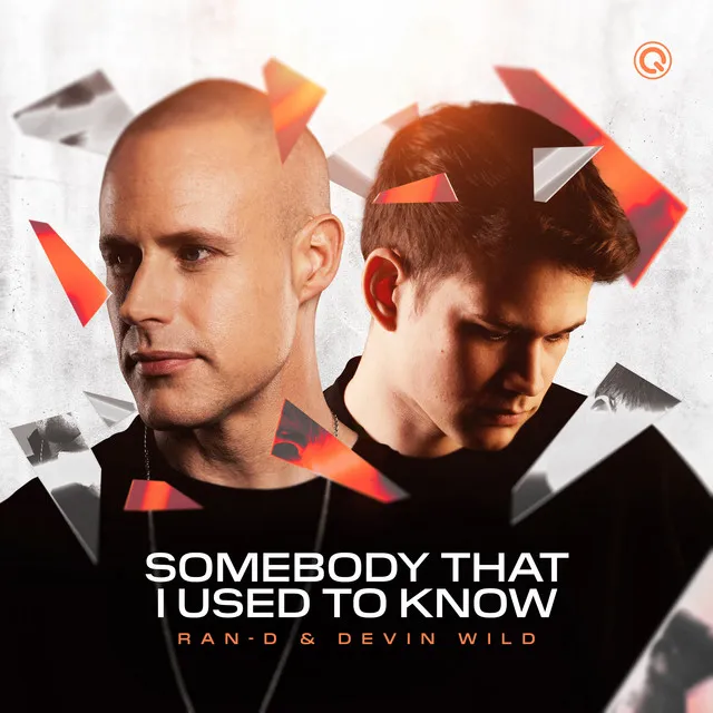 Somebody That I Used To Know by Ran-D, Devin Wild - Hardstyle cover art