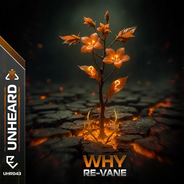 Why by Re-Vane - Hardstyle cover art