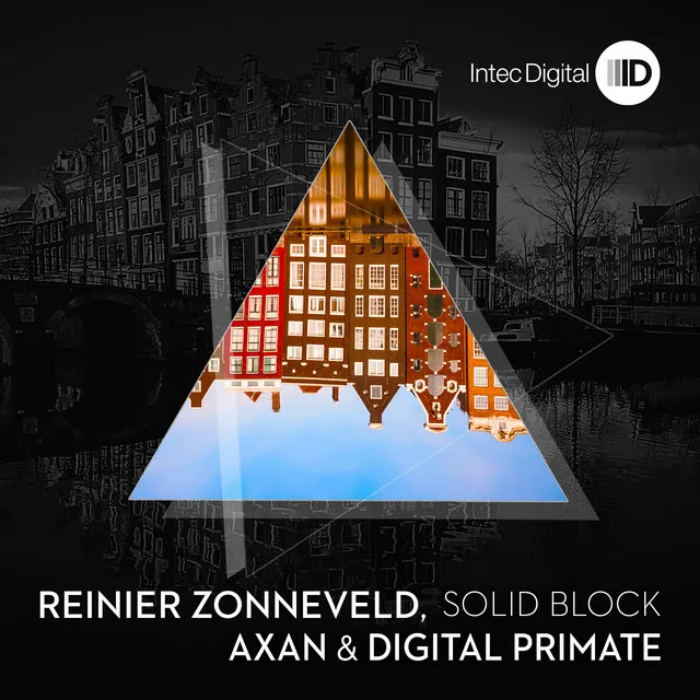 Solid Block by Reinier Zonneveld, Digital Primate, Axan - Hard Techno cover art
