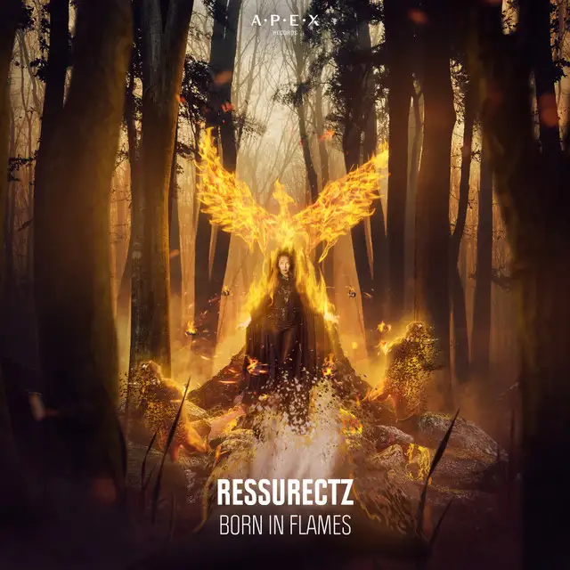 Born In Flames by Ressurectz - Rawstyle cover art