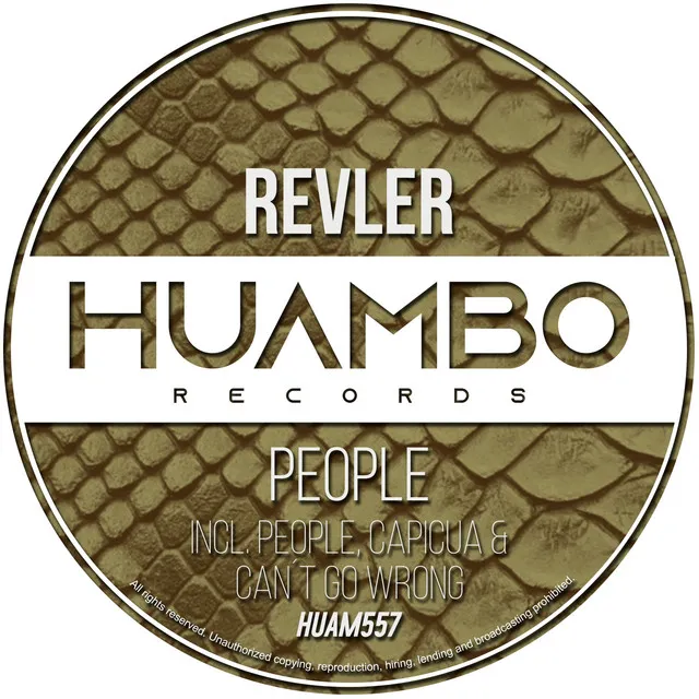 Can't Go Wrong - Fun Mix by Revler - Hardstyle cover art