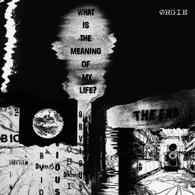 What Is The Meaning Of My Life? by ØRGIE - Hard Techno cover art