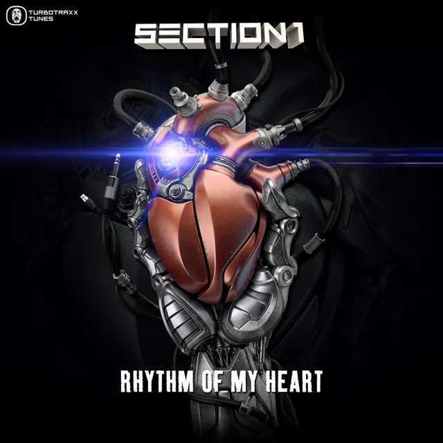 Cover art of Rhythm Of My Heart