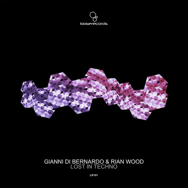 Lost In Techno by Rian Wood, Gianni Di Bernardo - Hard Techno cover art