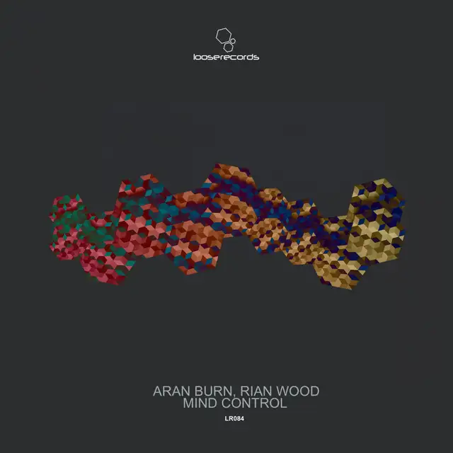 Taken by Rian Wood, Aran Burn - Hard Techno cover art