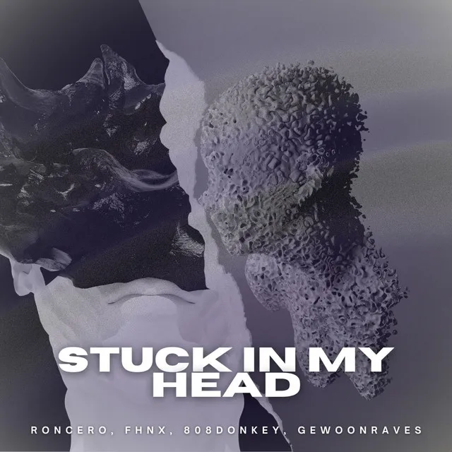 STUCK IN MY HEAD - Extended Mix by Roncero, FHNX, 808Donkey - Hard Techno cover art