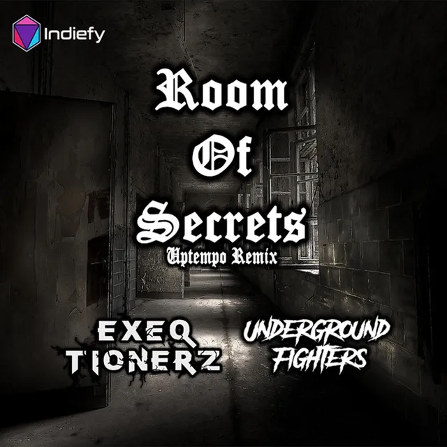 Cover art of Room of Secrets (Remix)