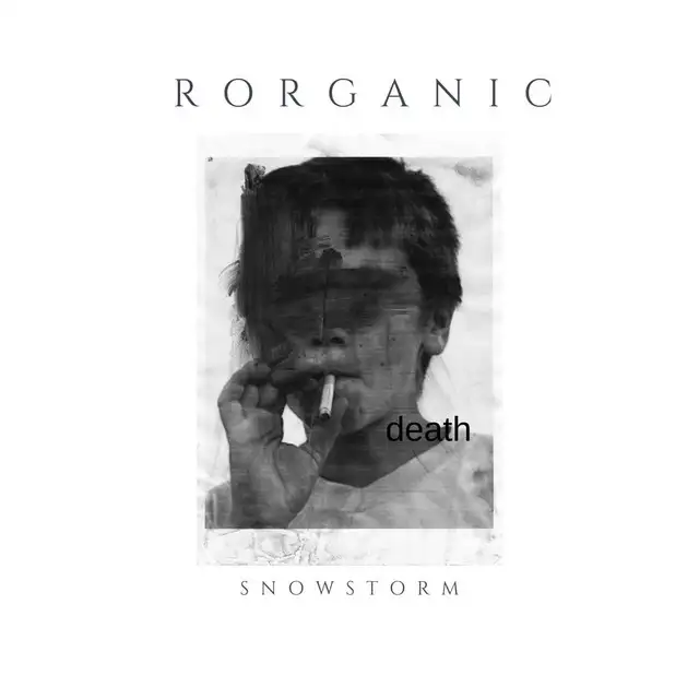 SNOW STORM by Rorganic - Hard Techno cover art