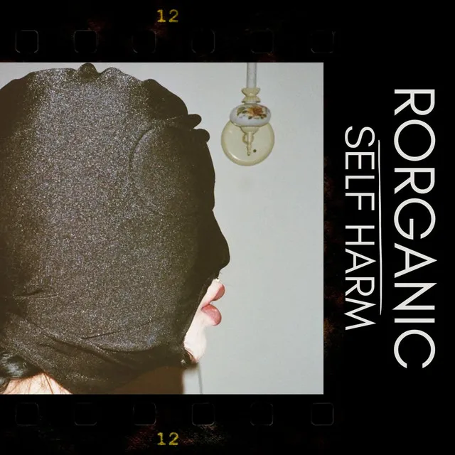SPIT ON YOUR ASS by Rorganic - Hard Techno cover art