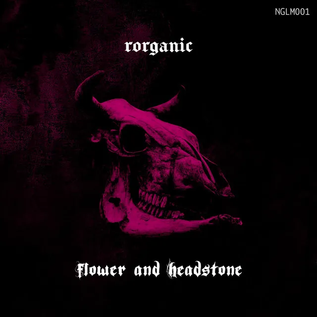 Undead Pigeon (BRAIS remix) by Rorganic - Hard Techno cover art