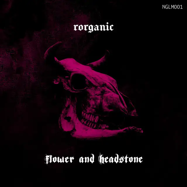 Undead Pigeon (Original mix) by Rorganic - Hard Techno cover art