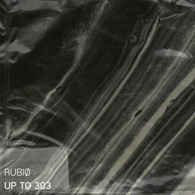 UP TO 303 by RUBIØ - Hard Techno cover art