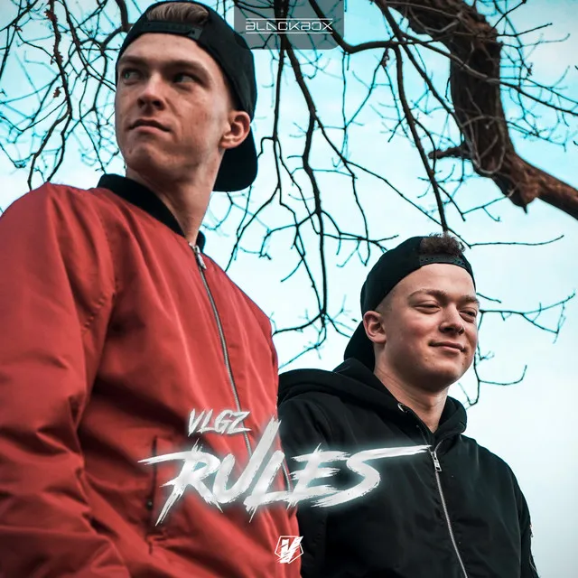Cover art of Rules