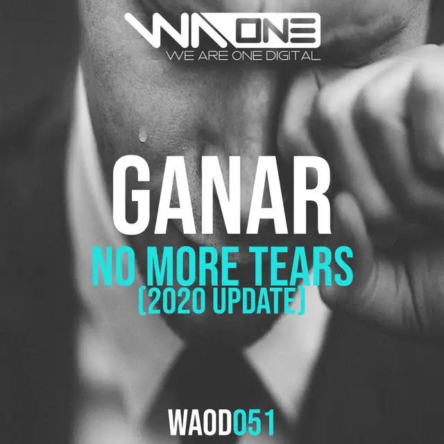 No More Tears (2020 Update) - Extended Mix by Ryan Ganar - Happy Hardcore cover art