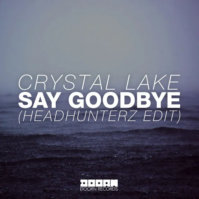 Cover art of Say Goodbye (Headhunterz Radio Edit)