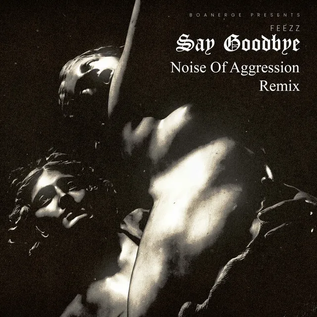 Cover art of Say Goodbye (Noise of Aggression Remix)