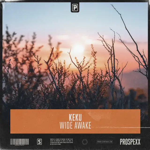 Wide Awake by Scantraxx, KEKU - Hardstyle cover art