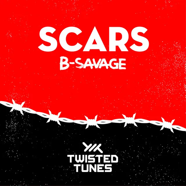 Cover art of Scars