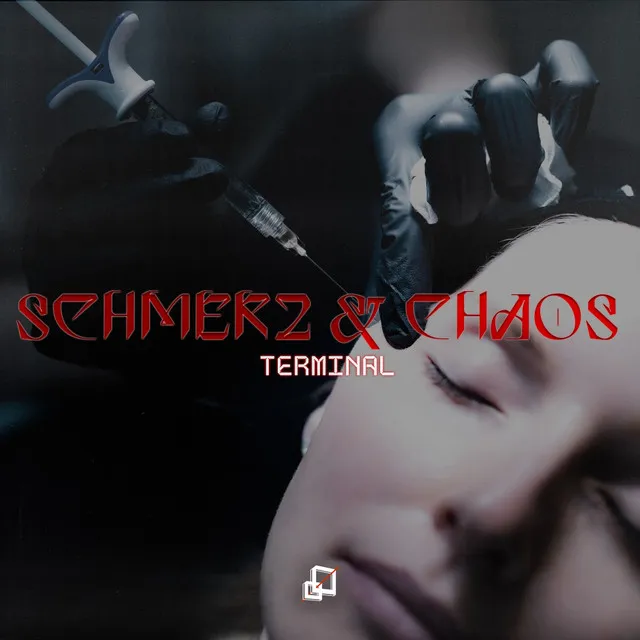 Cover art of Schmerz & Chaos