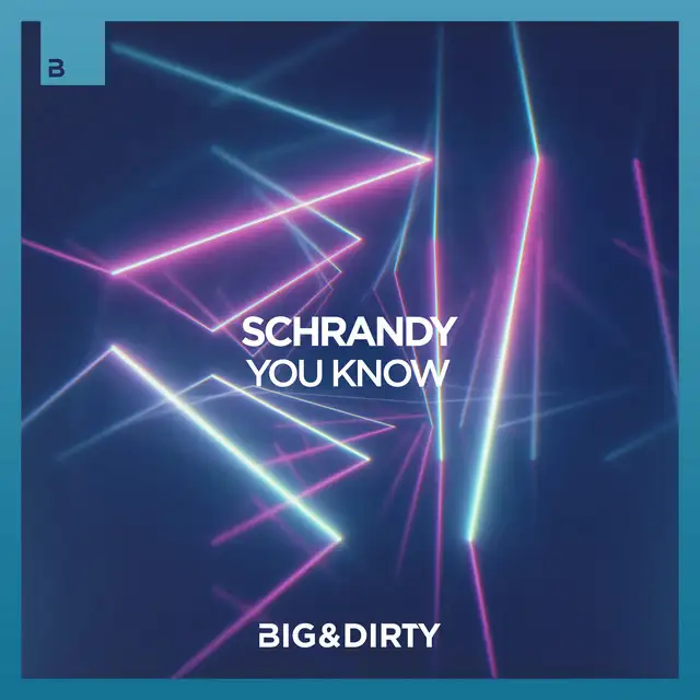 You Know - Extended Mix by Schrandy - Hardstyle cover art